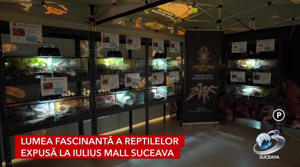 lumea fascinanta a reptilelor expusa la iulius mall suceava lumea fascinanta a reptilelor expusa la iulius mall suceava