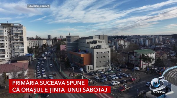 primaria suceava spune ca orasul e tinta unui sabotaj dupa valurile de caini abandonati primaria suceava spune ca orasul e tinta unui sabotaj dupa valurile de caini abandonati