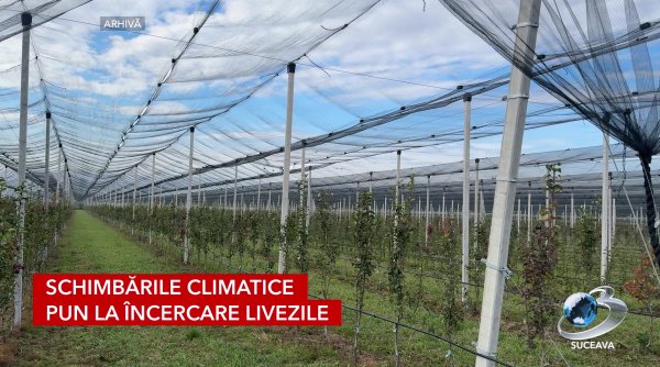 rodul muncii pomicultorilor pus la incercare rodul muncii pomicultorilor pus la incercare