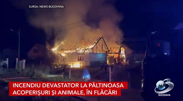 incendiu devastator la paltinoasa acoperisuri si animale in flacari