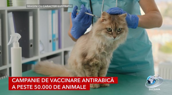 vaccinarea antirabica o prioritate pentru judetul suceava
