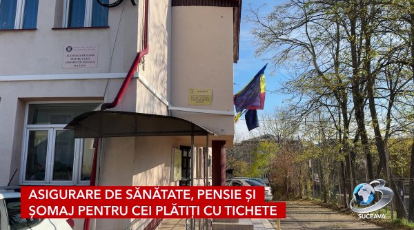 tichetele pentru activitati casnice noua metoda de a legaliza munca cu ziua