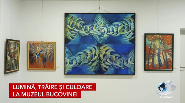 dincolo de vernisaj in culoare si emotie la suceava