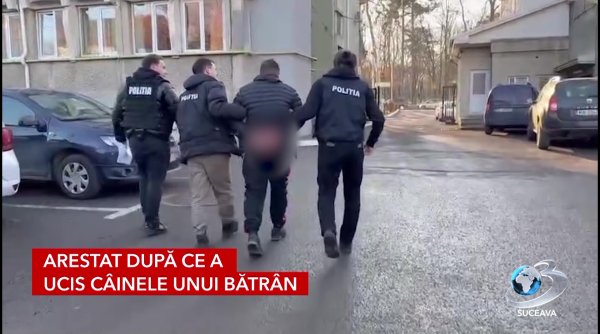arestat dupa ce a ucis cainele unui batran