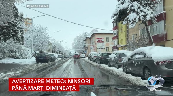 cod galben de ninsori si polei in suceava