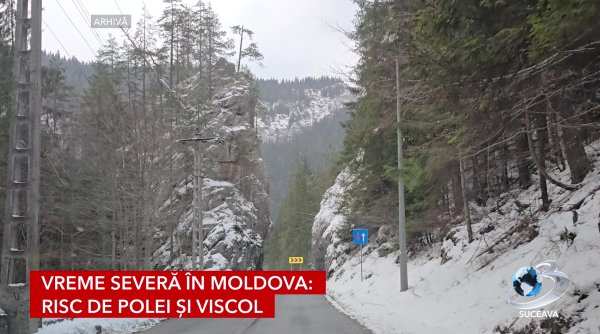 cod galben de polei in suceava botosani si neamt