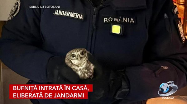 temperaturi scazute interventii salvatoare ale ijj botosani