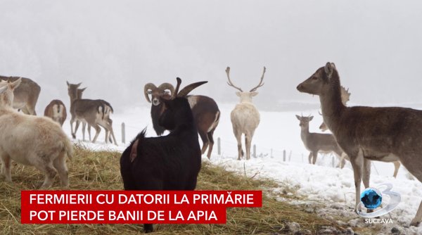 subventii apia conditionate de plata taxelor locale