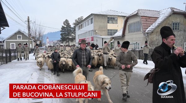 parada ciobanescului de bucovina la stulpicani