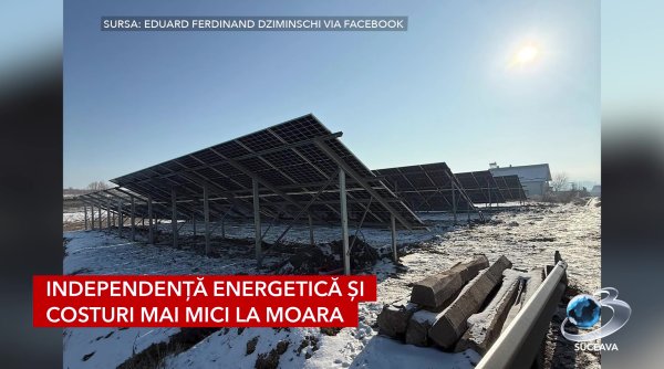 moara investeste in energie verde pentru viitor