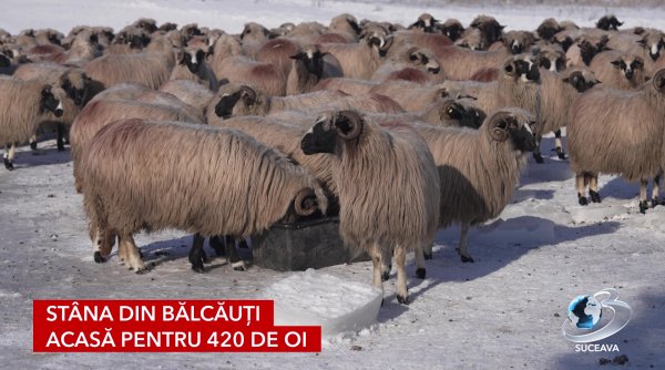 viata la stana dincolo de ger