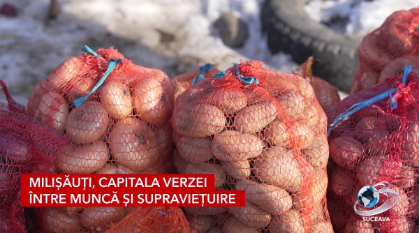 milisauti capitala verzei intre munca si supravietuire
