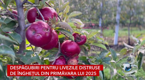 despagubiri pentru livezile distruse de inghetul din primavara lui 2025