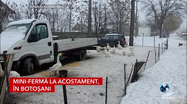 mini ferma la acostament in botosani