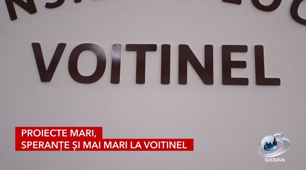 voitinel construieste viitorul pas cu pas