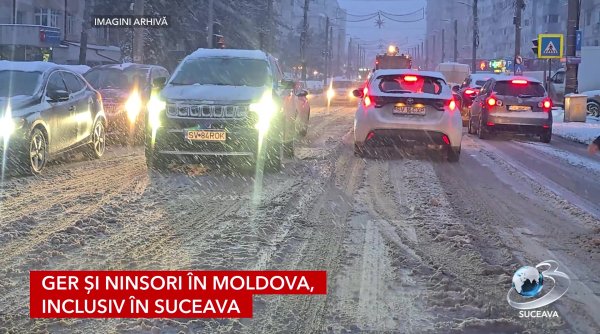 ger si ninsori in moldova inclusiv in suceava