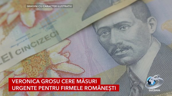 guvernul interpelat pe tema creditarii firmelor