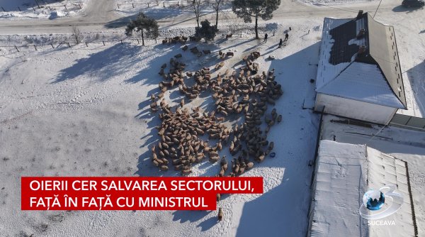 oierii cer salvarea sectorului fata in fata cu ministrul