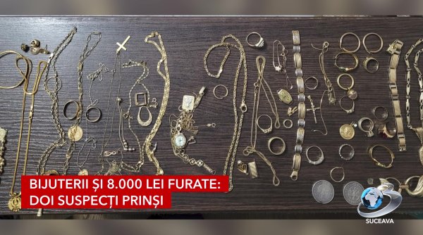 perchezitii la botosani doi barbati retinuti pentru furt