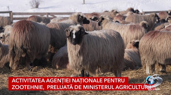 oficiul judetean de zootehnie suceava desfiintat