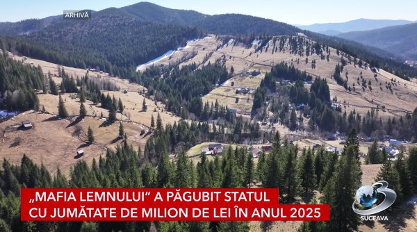 mafia lemnului a pagubit statul cu jumatate de milion de lei in anul 2025