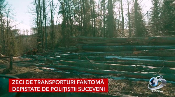 jaf din padurile bucovinei cu ajutorul tehnologiei