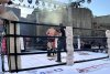 Suceava, capitala mondială a kickboxing-ului pentru o seară 1089