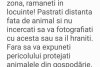 Mesaj RO-Alert privind prezența unui urs în Câmpulung Moldovenesc 1217