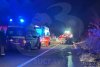 Accident rutier neobișnuit lângă Fălticeni: autoturism grav avariat și pierderi în rândul ovinelor 7550