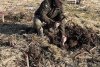Ocolul Silvic Pătrăuți demarează lucrările de reîmpădurire 9063