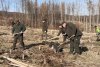 Ocolul Silvic Pătrăuți demarează lucrările de reîmpădurire 9064
