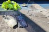 O mașină a luat foc din cauza unui telefon lăsat la încarcat 10235
