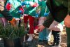 Elevii din Voitinel au plantat copaci alături de silvicultori 10551
