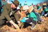 Elevii din Voitinel au plantat copaci alături de silvicultori 10553