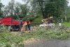 „Mătușa Răchită” din Dumbrava minunată, de la Fălticeni, s-a prăbușit luni după-amiază 10359
