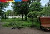 O mașină scăpată de sub control s-a oprit într-un copac din parc, la Rădăuți 10526