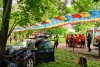 O mașină scăpată de sub control s-a oprit într-un copac din parc, la Rădăuți 10529