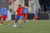Meciul de retragere a lui Dorin Goian a adunat greii fotbalului pe stadionul Areni 10897